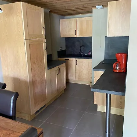 6 Personnes Pied Des Pistes Appartement Les Deux Alpes