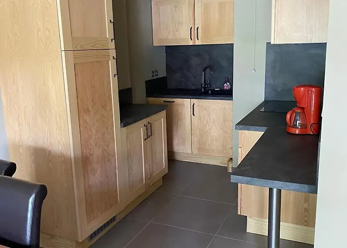 6 Personnes Pied Des Pistes Apartament Les Deux Alpes