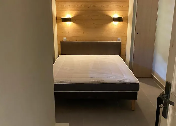 6 Personnes Pied Des Pistes * Les Deux Alpes