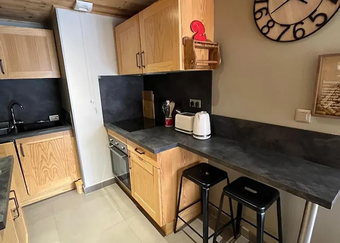 Apartament 6 Personnes Pied Des Pistes Les Deux Alpes